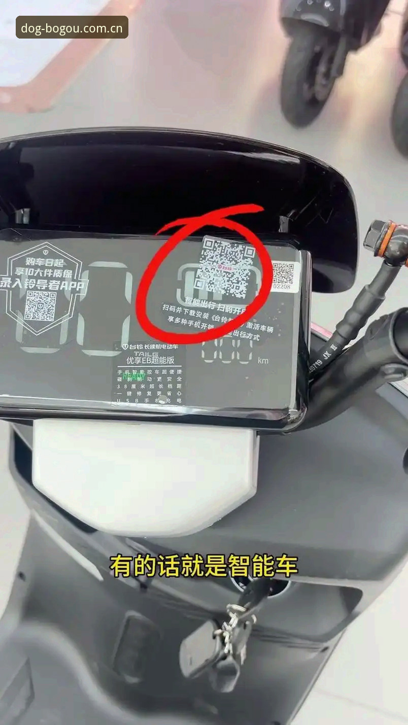 博狗官方平台2026最新动态：新版APP安装教程与创新体验全解析