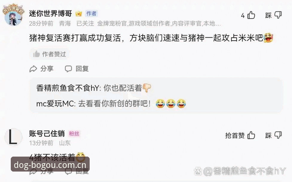 博狗网APP使用指南：从下载到畅玩的完整攻略