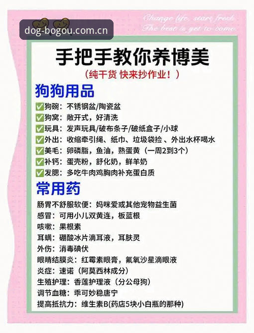 博狗官方平台2026新版全面解析：从新手到高手的完整操作指南